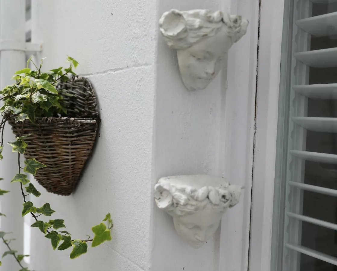 Olive Tree Apartment Hove Storbritannien